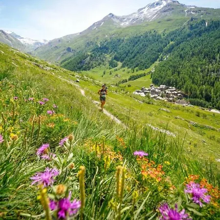 Lognan 1 - A Mont Blanc Haven Апартаменти Шамоні