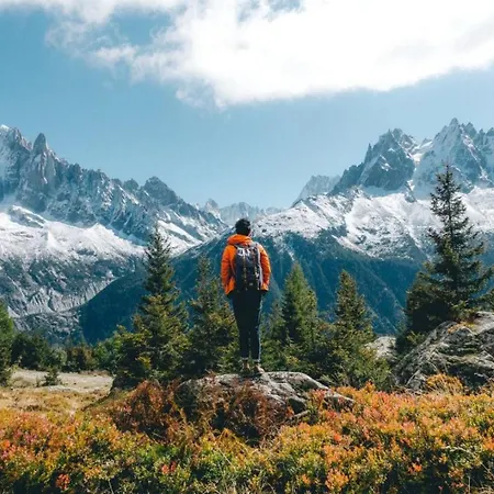 Lognan 1 - A Mont Blanc Haven * Chamonix