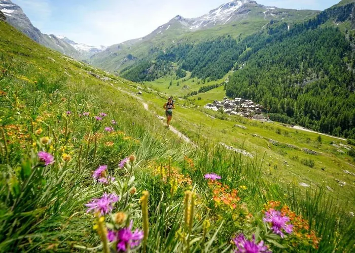 Lognan 1 - A Mont Blanc Haven Appartement Chamonix