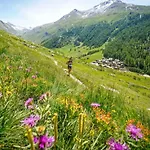 Lognan 1 - A Mont Blanc Haven Appartement Chamonix